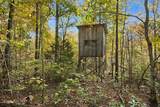 10878 Highway 7 - Photo 35