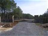 1180 Black Bear Trail - Photo 2
