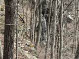 4441 Deer Run Road - Photo 1