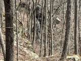 4441 Deer Run Road - Photo 2