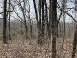 4441 Deer Run Road - Photo 11