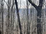 4441 Deer Run Road - Photo 12