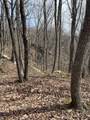 4441 Deer Run Road - Photo 13