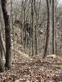 4441 Deer Run Road - Photo 14