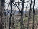 4441 Deer Run Road - Photo 4