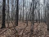 4441 Deer Run Road - Photo 5