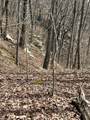 4441 Deer Run Road - Photo 8