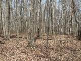 4441 Deer Run Road - Photo 9