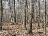 4441 Deer Run Road - Photo 10
