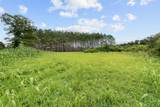 0 Coffelt Town Road - Photo 12