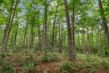 0 Coffelt Town Road - Photo 25