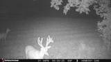 0 Coffelt Town Road - Photo 37