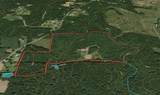0 Coffelt Town Road - Photo 39