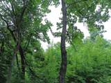 204 Charlie Crosslin Rd - Photo 37