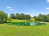 138 Belcher Hollow Rd - Photo 43