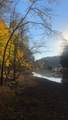 1198 Ed Sanders Rd - Photo 45
