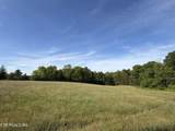110 Don Conatser Rd - Photo 11