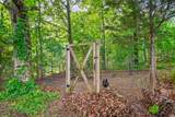 317 Alonzo Pl - Photo 45