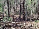 0 John Boy Trail - Photo 4