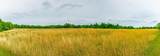 0 Ray Gadd Road - Photo 26