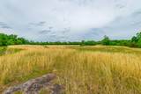0 Ray Gadd Road - Photo 5