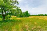 0 Ray Gadd Road - Photo 64