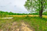 0 Ray Gadd Road - Photo 79