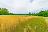 0 Ray Gadd Road - Photo 85