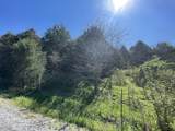 59 Scanty Branch Rd - Photo 16