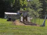 4 Lewis James Ln - Photo 42