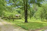 1735 Highway 421 - Photo 37