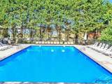 229 Eagle Creek Road - Photo 50