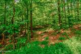 8668 Lakeshore Drive - Photo 52
