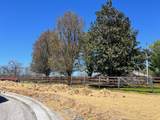 1006 Laguna Drive - Photo 98