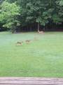146 Sparkmantown Rd - Photo 39