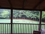 146 Sparkmantown Rd - Photo 6