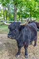 5111 Se Tater Peeler Rd - Photo 11