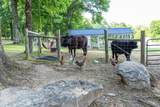 5111 Se Tater Peeler Rd - Photo 49