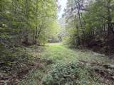 0 Forge Hideaway Road - Photo 3