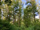 0 Copper Springs Road - Photo 13
