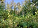 0 Copper Springs Road - Photo 18