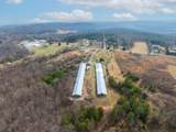 13716 Jones Gap Road - Photo 9
