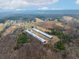 13716 Jones Gap Road - Photo 10