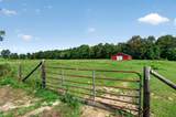 2054 Robinson Rd - Photo 37
