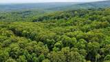 185 Raccoon Ridge - Photo 16