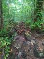 185 Raccoon Ridge - Photo 31