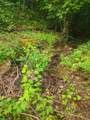 185 Raccoon Ridge - Photo 32