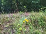 185 Raccoon Ridge - Photo 33