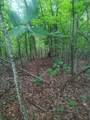 185 Raccoon Ridge - Photo 35