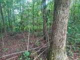 185 Raccoon Ridge - Photo 7